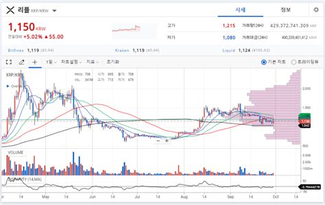 리플코인 시세 전망 호재 바이비트