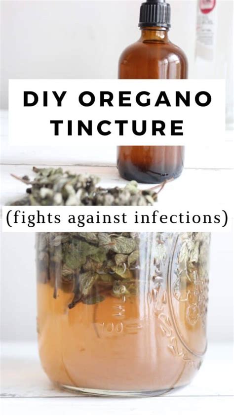 How To Make Oregano Tincture Simple Recipe Documenting Simple Living