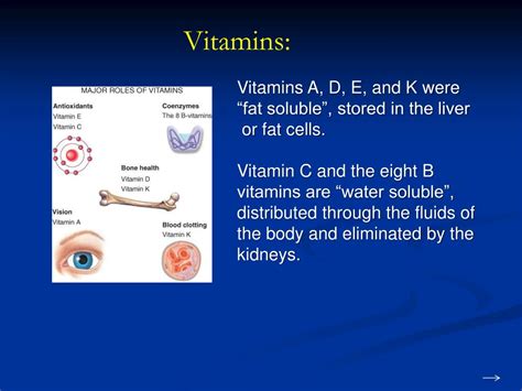 Ppt Vitamins Powerpoint Presentation Free Download Id1588938