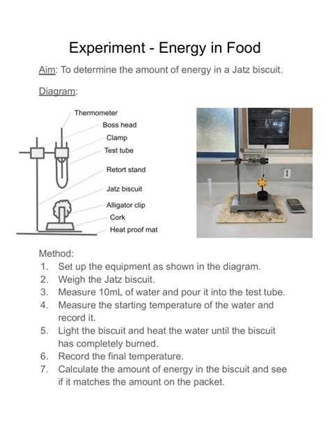 Experiment Energy In Food