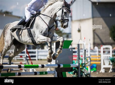 Equestrian Show Jumping With Unrecognizable Male Jockey Sport Event