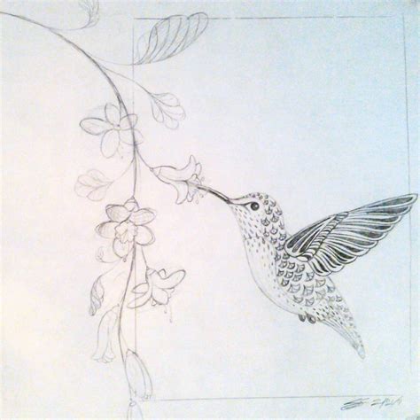 Drawings Of Hummingbirds And Flowers at PaintingValley.com | Explore collection of Drawings Of ...