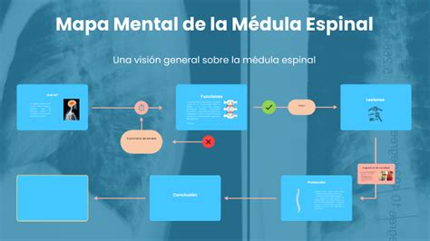 Mapa Mental de la Médula Espinal by Naomi Hens on Prezi