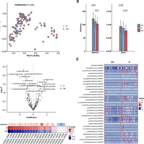 Microbiome Comparison Between The R And NR Groups At Baseline A PCoA