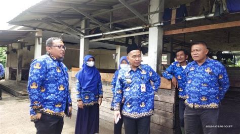 Pj Walikota Serang Yedi Rahmat Pastikan Stok Hewan Kurban Aman