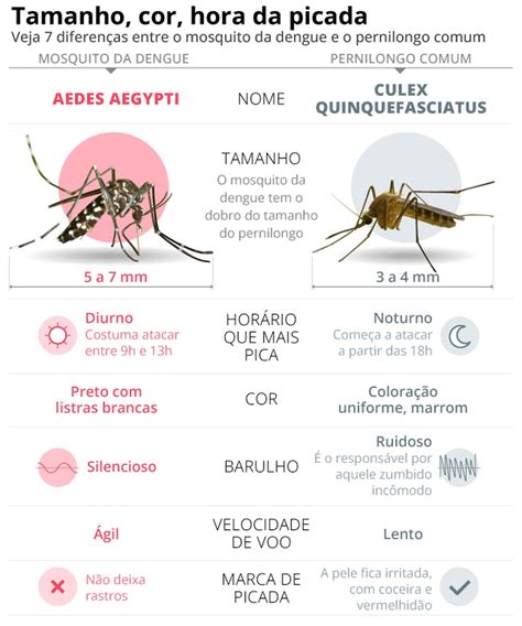 Infográfico mostra as 7 diferenças entre o mosquito da dengue e o