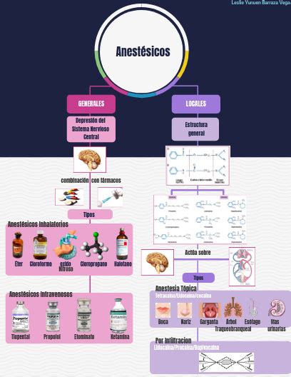 Anestesicos Locales Mapa Conceptual Shibaswap The Best Porn Website