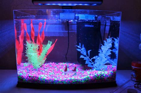 Glow In The Dark Fish Tank Fish Tank Lights Fish Tank Decorations