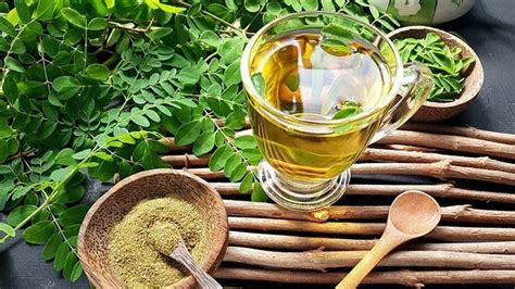 persen tanaman obat dunia   indonesia dijadikan ramuan herbal