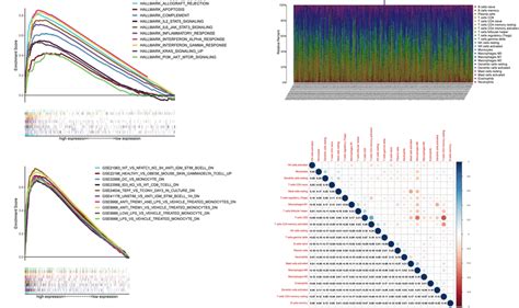 GSEA On The High And Low CYBB Expression Groups And The Correlational