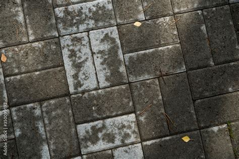 Texture Of Paving Slabs Overgrown With Grass Background Image Of A