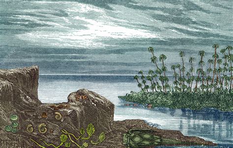devonian period stock image  science photo library
