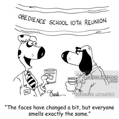 Funny Class Reunion Quotes - ShortQuotes.cc