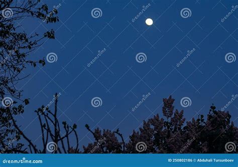 Daytime moon stock photo. Image of mountain, daylight - 250802186