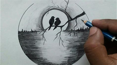 easy pencil sketch drawing  beginners prodrawingclub pencil art