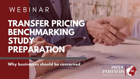 PPI Transfer Pricing Benchmarking Study Preparation English Webinar