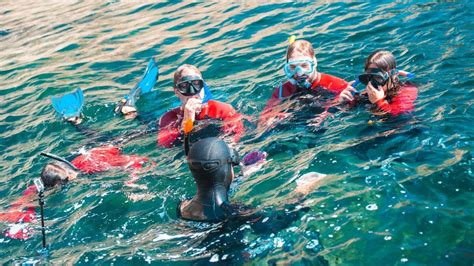 Lisbon Snorkelling in Sesimbra Arrábida Natural Park GetYourGuide