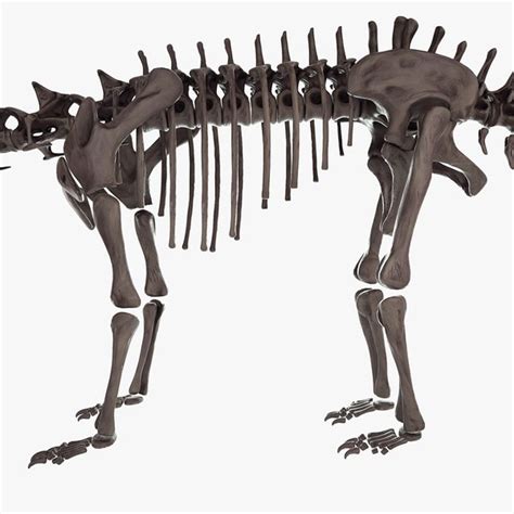 Diplodocus skeleton 3D - TurboSquid 1165511