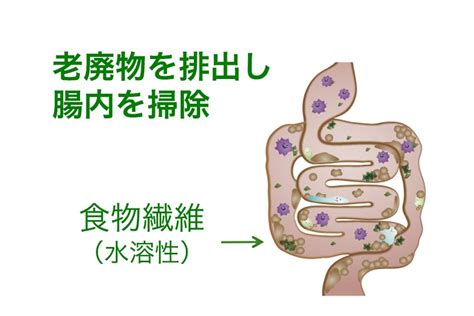 善玉菌を増やすには？ ニュートリライト（nutrilite）