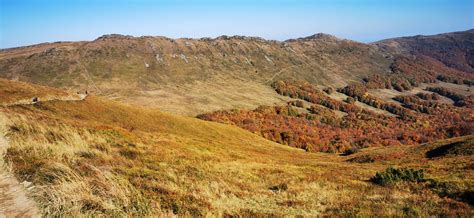 Na Skraju Nieba Drewniane Domki Bieszczady Park Narodowy Smerek