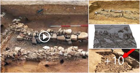 Neolithic Mass Grave Mystery Breaking International