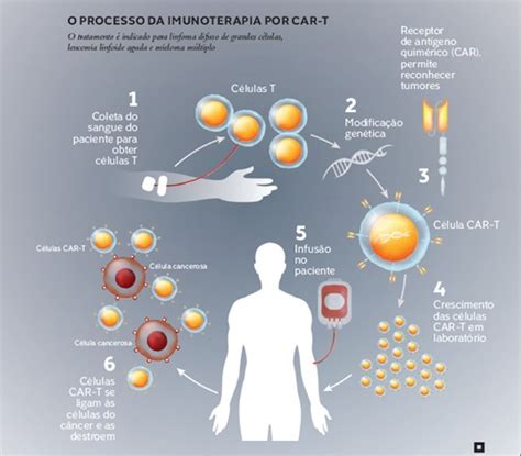 Um Ano De Tratamento O Progresso Dos Pacientes Remiss O Completa