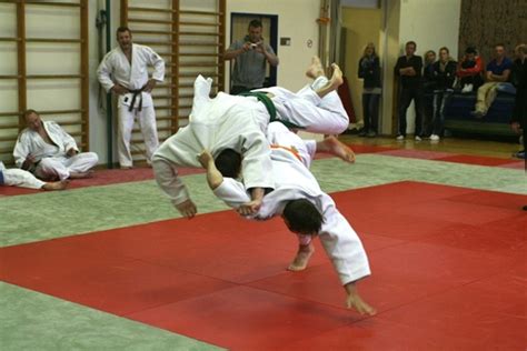 Tabellenf Hrung F R Judo Gutau Freistadt Freistadt