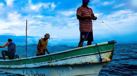 Vivir De La Pesca Estudiar