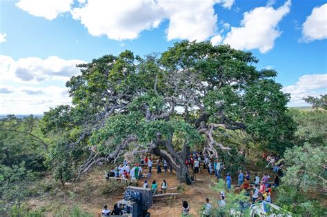 Reserva de Desenvolvimento Sustentável Nascentes Geraizeiras celebra