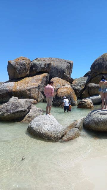 Kaapstad Pinguïns kijken bij Boulders Beach Halve Dag Tour GetYourGuide