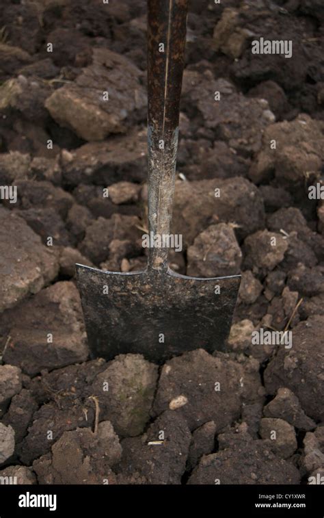 Soil Plant Spade Hi Res Stock Photography And Images Alamy