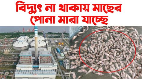 বদযৎ ন থকয মছর পন মর যচছ Payra Power plant bangladesh