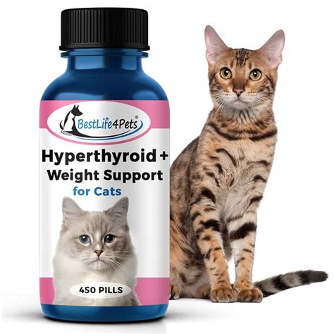 Hyperthyroidism In Cats Hair Loss