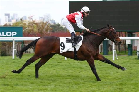 SILVER CRACK La fiche CANALTURF du cheval performances pmu pédigré