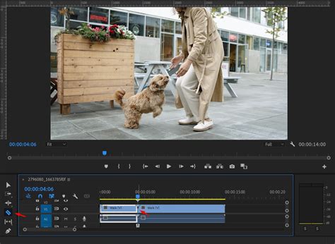 How To Zoom In On Premiere Pro 3 Simple Methods