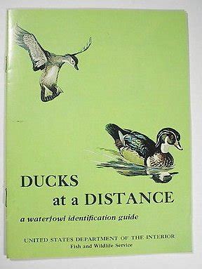 Ducks At A Distance A Waterfowl Identification Guide United States