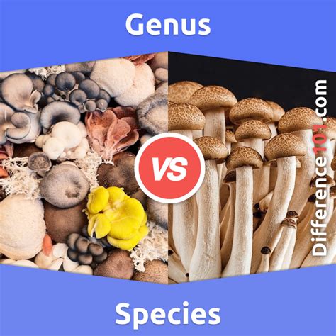 Genus vs. Species: 7 Key Differences, Pros & Cons, Examples ...