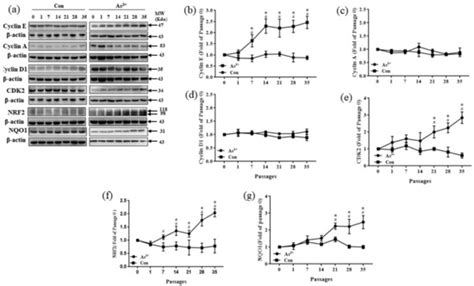 Ijerph Special Issue Quantitative Assessment Of Environmental Human