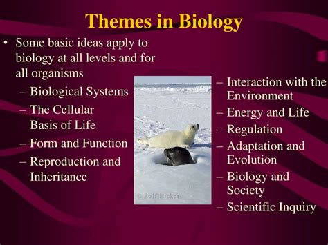 PPT Chapter 1 The Scope Of Biology PowerPoint Presentation Free