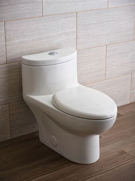 Tofino Dual Flush Complete One Piece 108159 Gal Elongated Toilet