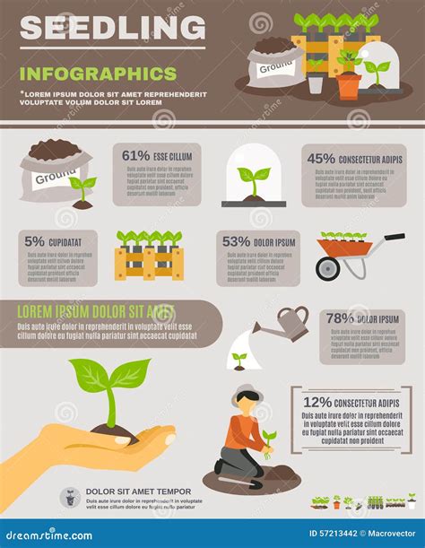 Ensemble D Infographics De Jeune Plante Illustration De Vecteur