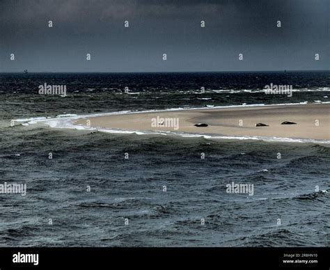 the beach of Borkum Stock Photo - Alamy