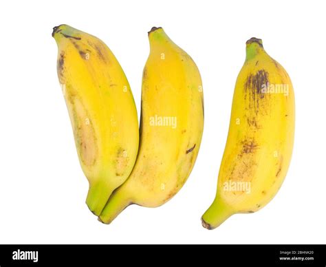 Cultivated Banana On White Background Yellow Asian Banana Sweet Fruit