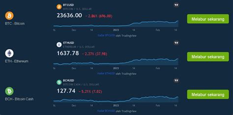 Altcoin Pro Wealth Penjelasan Penuh Februari