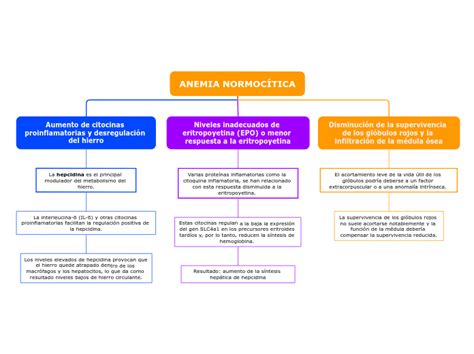 ANEMIA NORMOCÍTICA Mapa Mental Amostra