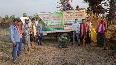 reviving traditional agriculture  odisha millet mission