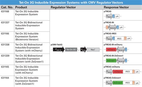 Tet On 3g Tetracycline Inducible Expression Systems