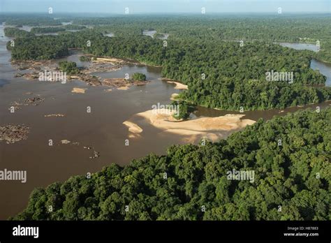 Essequibo River In Rainforest Guyana Stock Photo Alamy