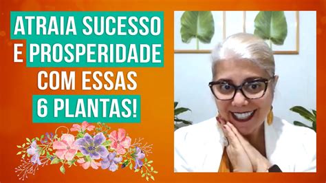 Plantas Para Atrair Prosperidade E Sucesso Na Sua Vida Youtube