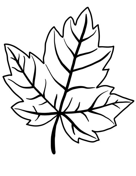 Printable Leaf Outline Templates Crafty Morning